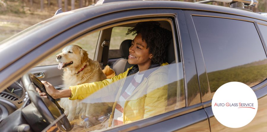 How Do We Get To Know Our Customers?